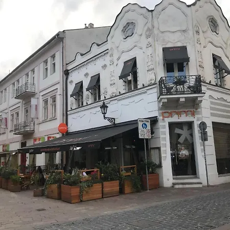 Apartment With Cathedral View קושיצה